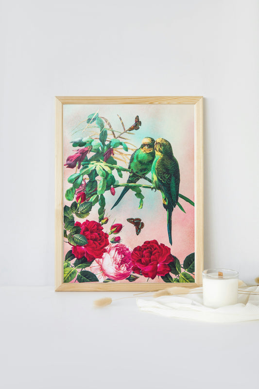 budgies A4 giclée print
