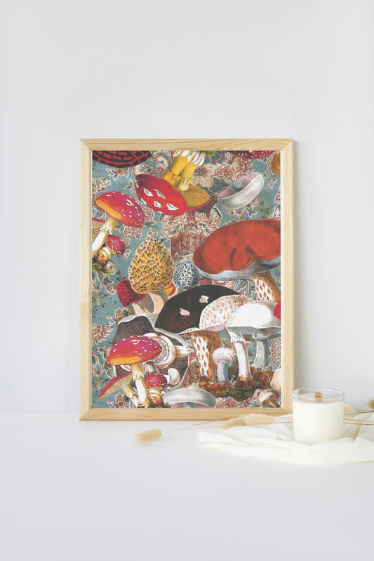 fungi A4 giclée print
