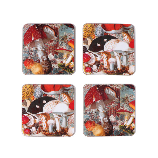 fungi coasters