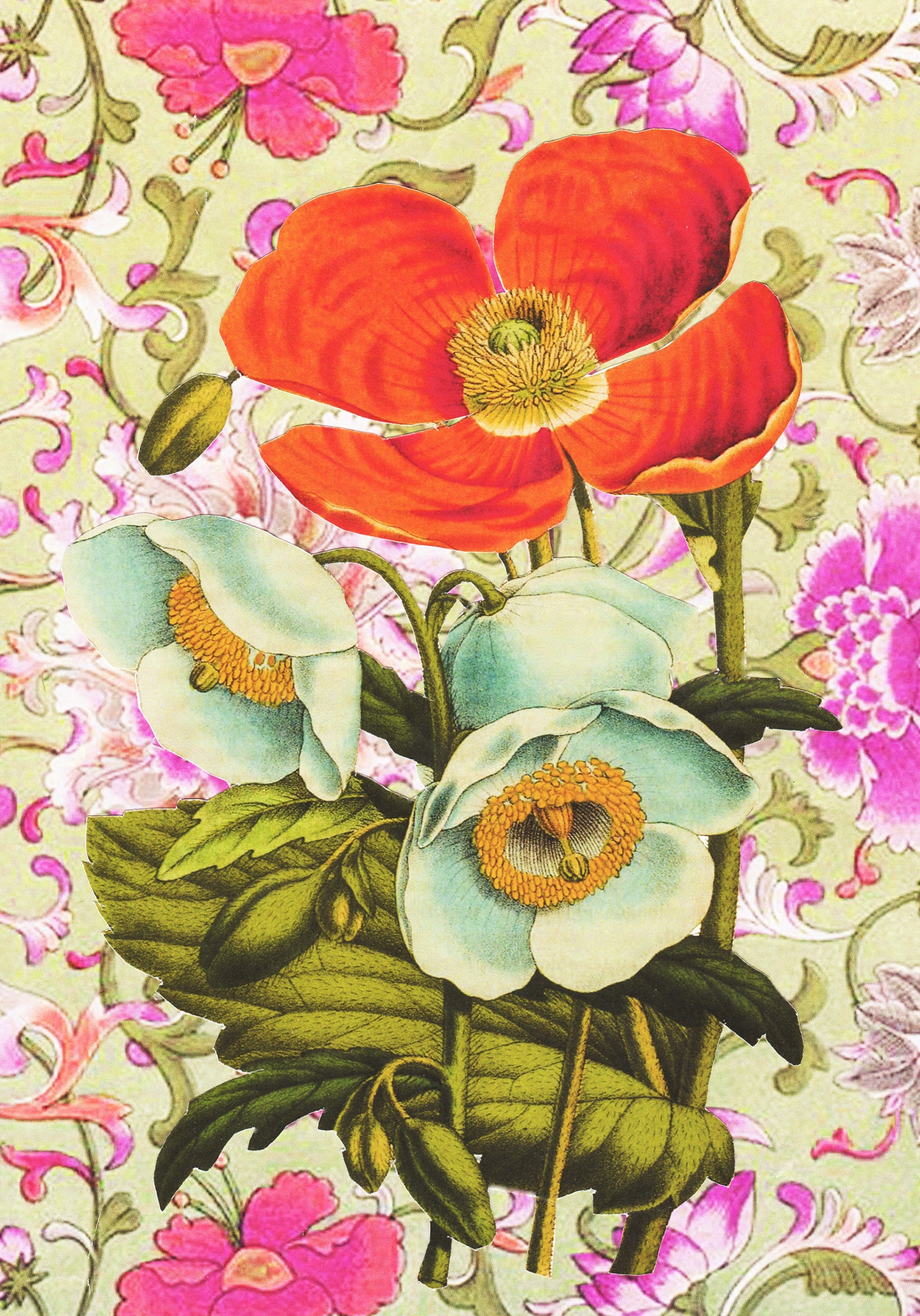 poppies A4 giclée print
