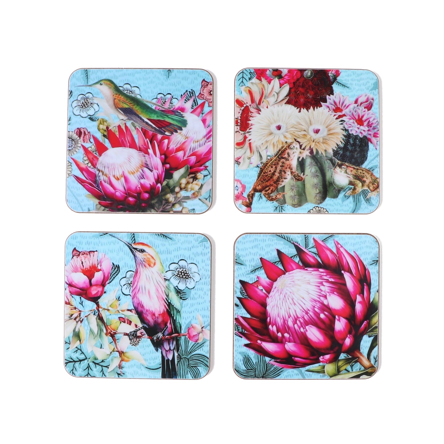 protea coasters