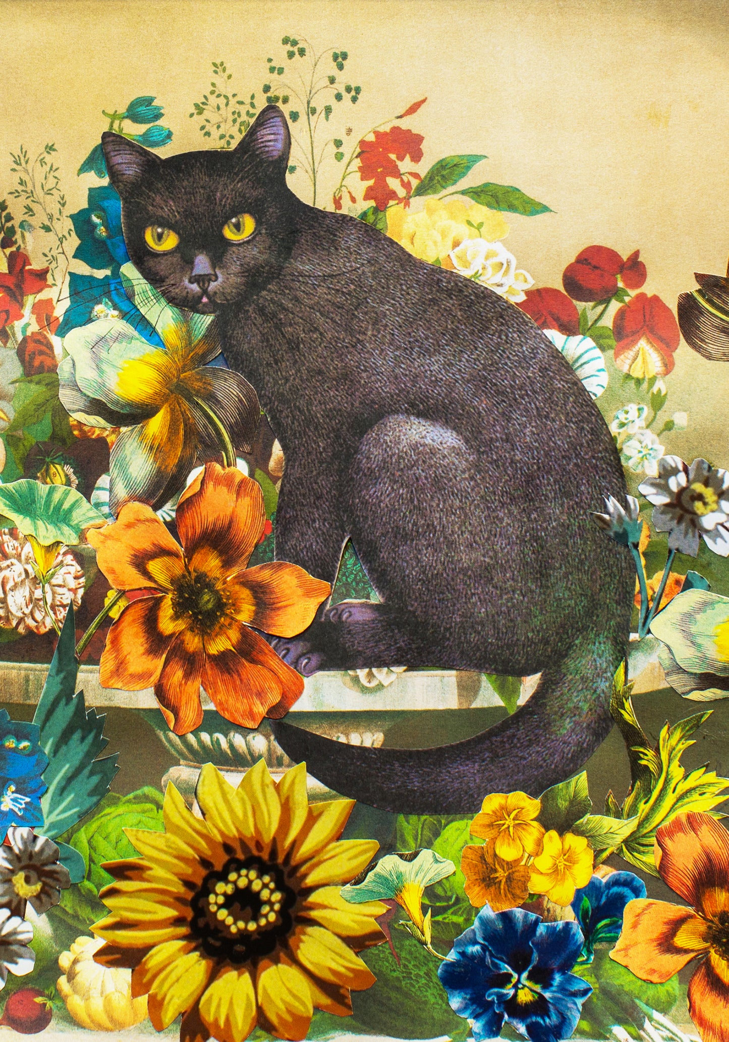 black cat A4 giclée print